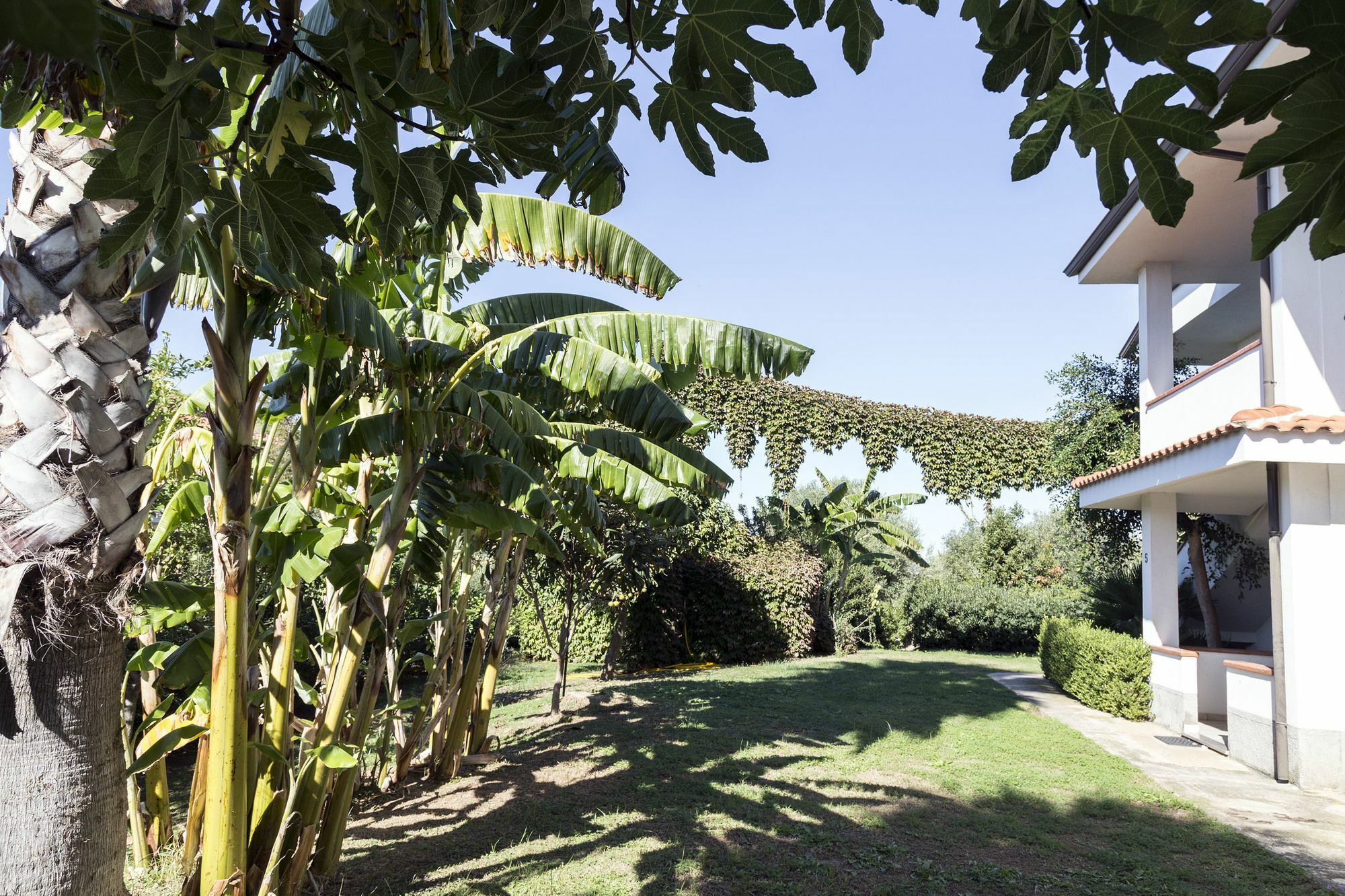 Happy Days Aparthotel Capo Vaticano Exterior foto