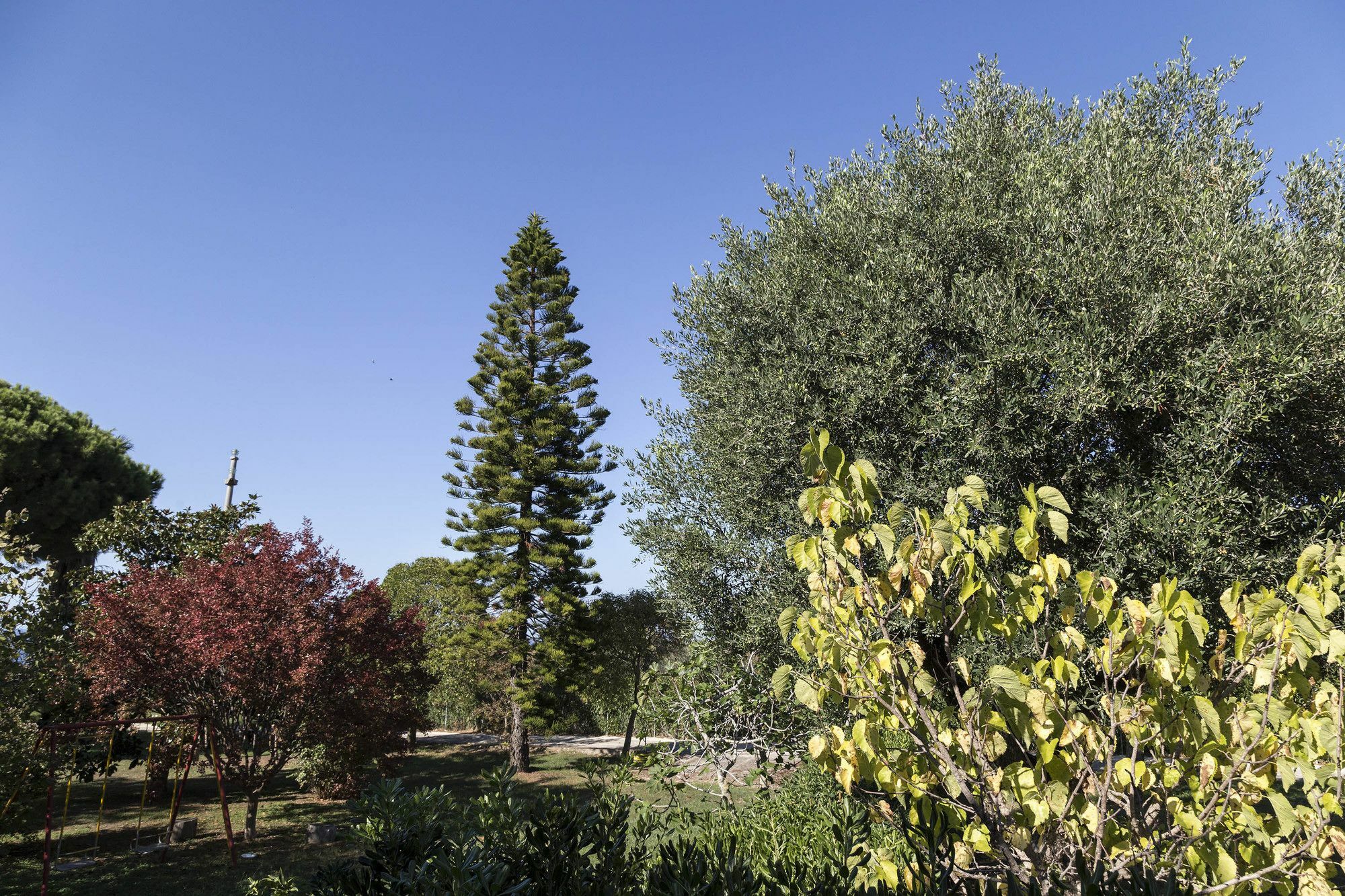 Happy Days Aparthotel Capo Vaticano Exterior foto